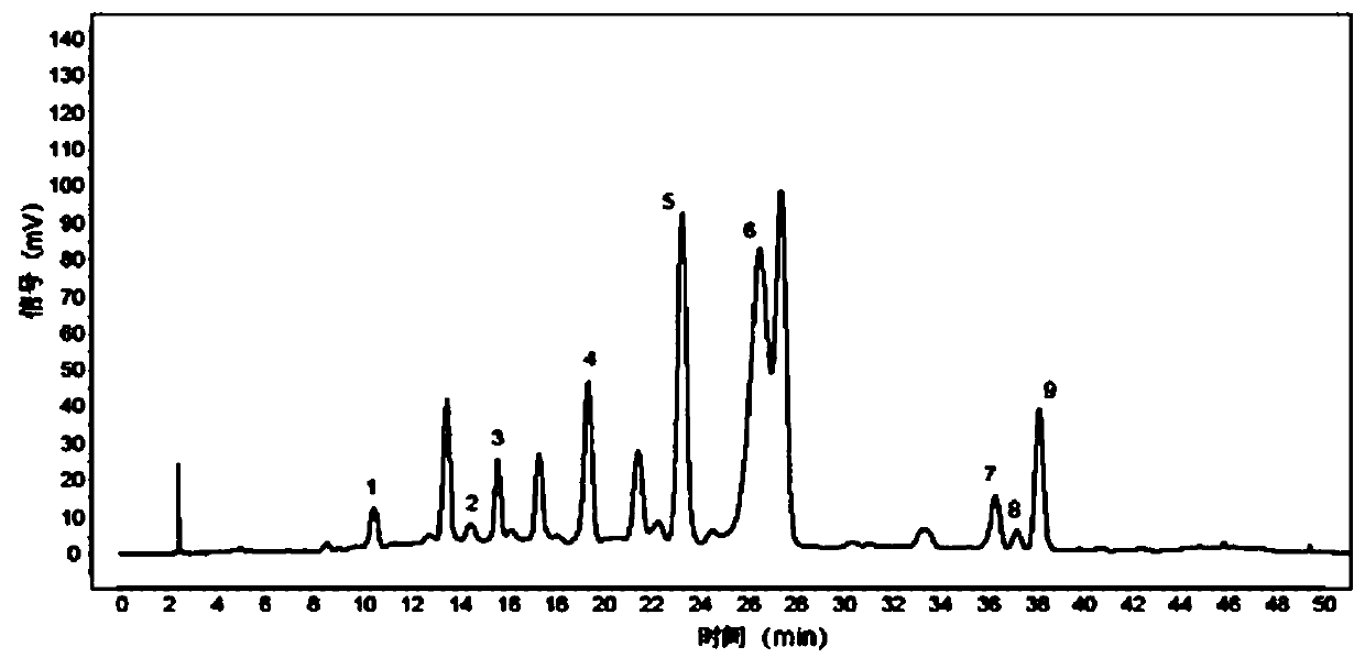 Microcos paniculata total flavonoid glycosides (MpTFG) as well as preparation method and application thereof