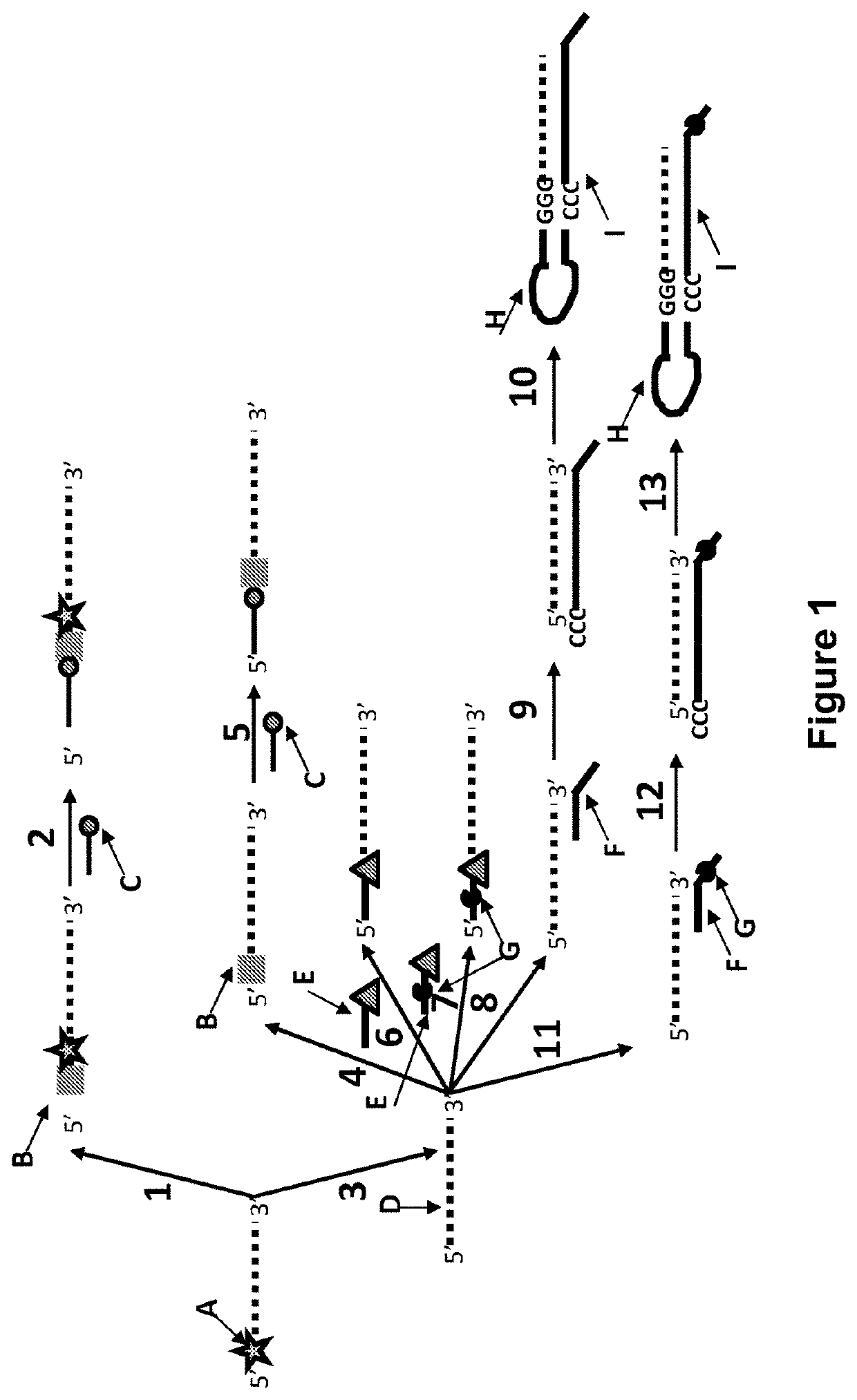 Method for nanopore RNA characterisation