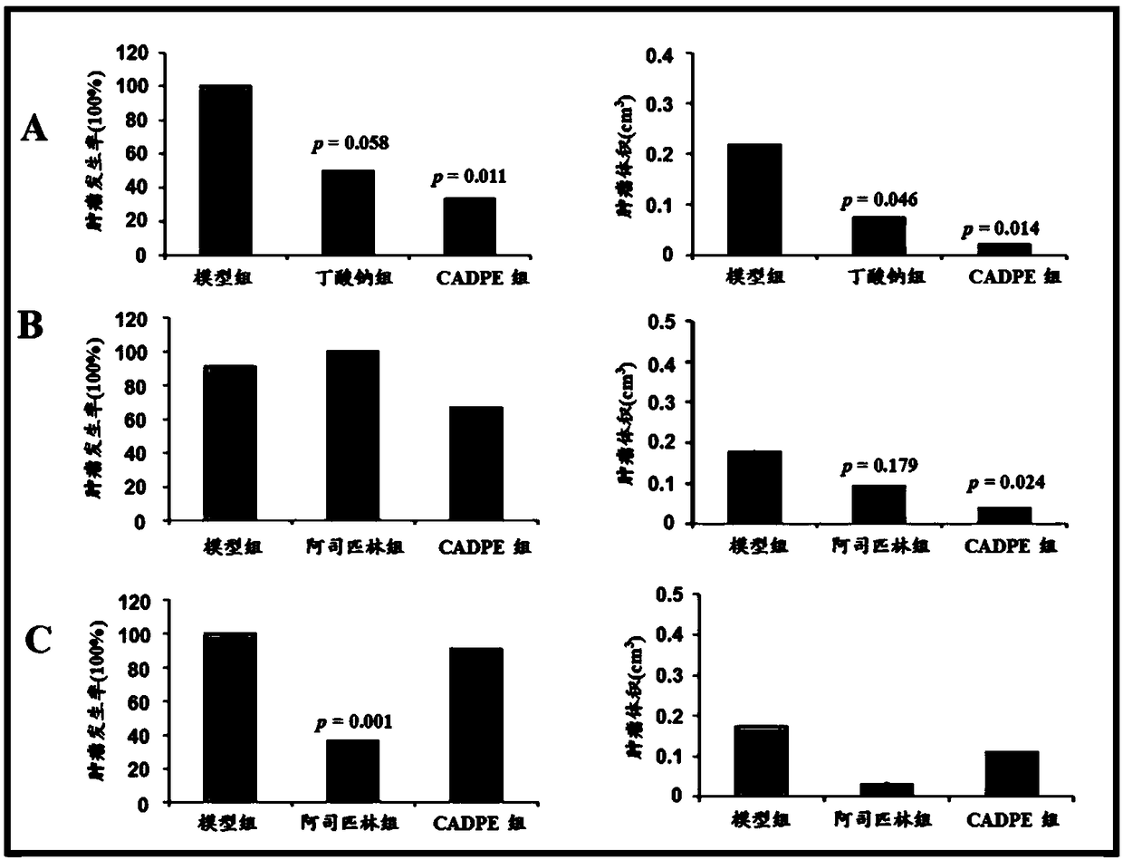 Application of caffeic acid 3,4-dyhydroxy phenethyl ester to preparing medicine for preventing colorectal cancer