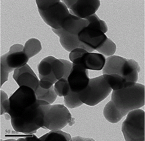 A kind of hydrophilic rare earth ion doped nano-fluorescent body and its preparation method and application