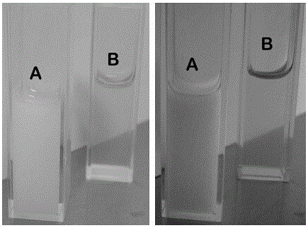 A kind of hydrophilic rare earth ion doped nano-fluorescent body and its preparation method and application