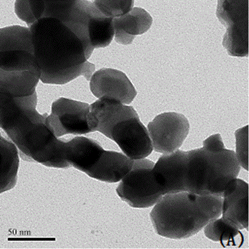 A kind of hydrophilic rare earth ion doped nano-fluorescent body and its preparation method and application