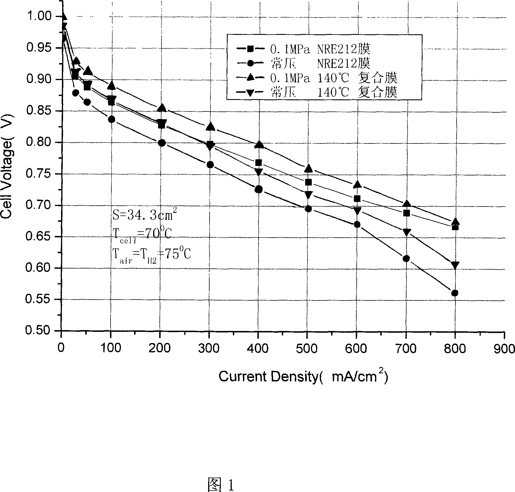 Technique for molding new type proton exchange membrane
