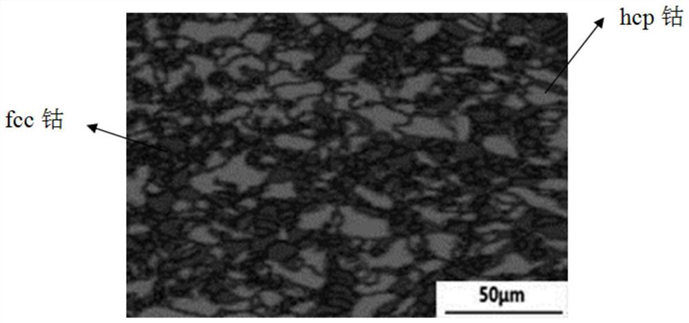 A preparation method and application of ultra-high-purity cobalt plate with controllable structure