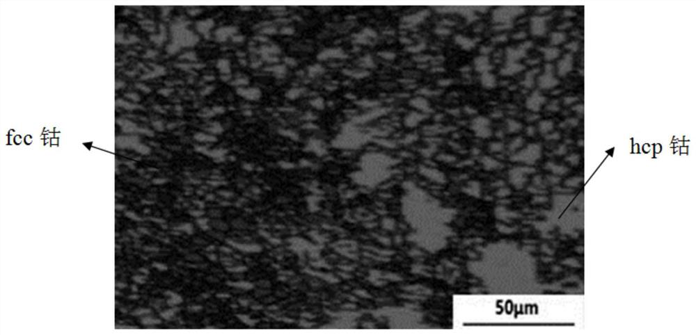 A preparation method and application of ultra-high-purity cobalt plate with controllable structure