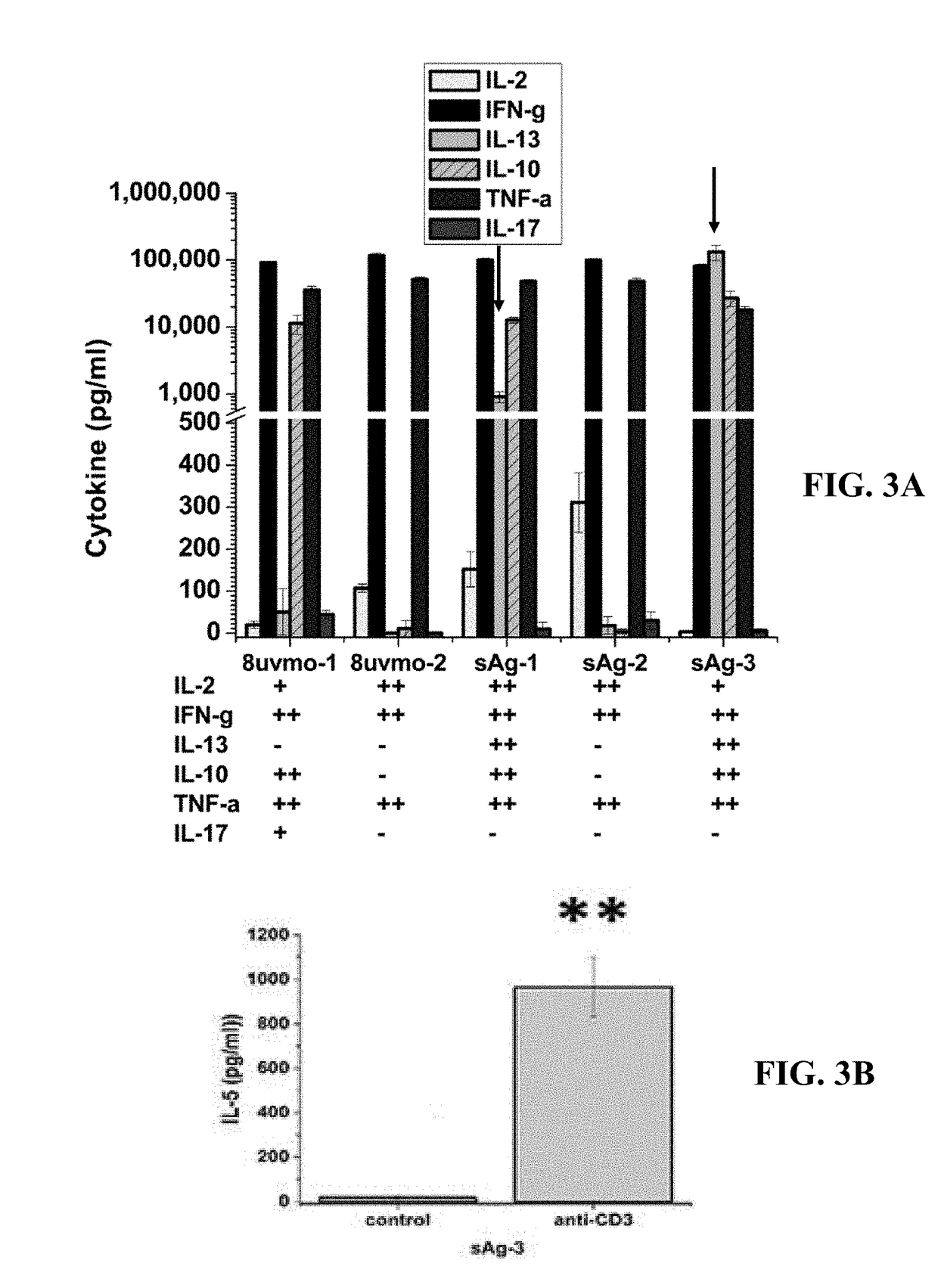 Methods and antisera for isolating and identifying subsets of cd8 t cells