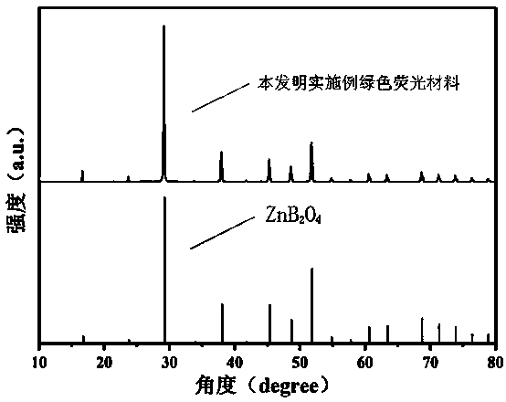 Green fluorescent material and preparation method thereof