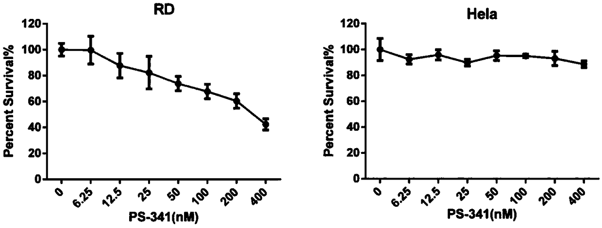 Application of compound PS-341 in preparation of inhibitor of enterovirus of picornaviridae