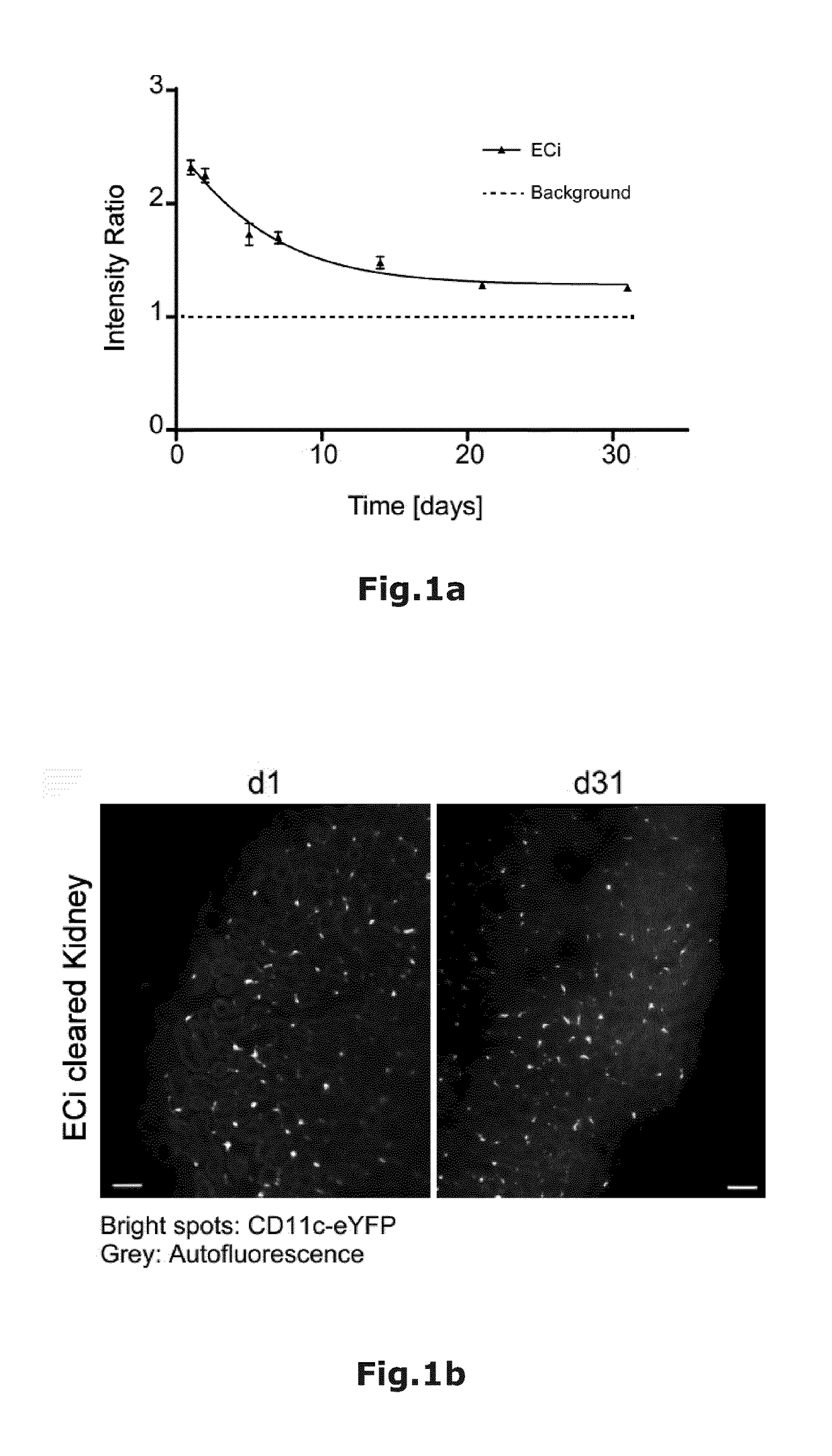 Non-hazardous optical clearing of biological samples