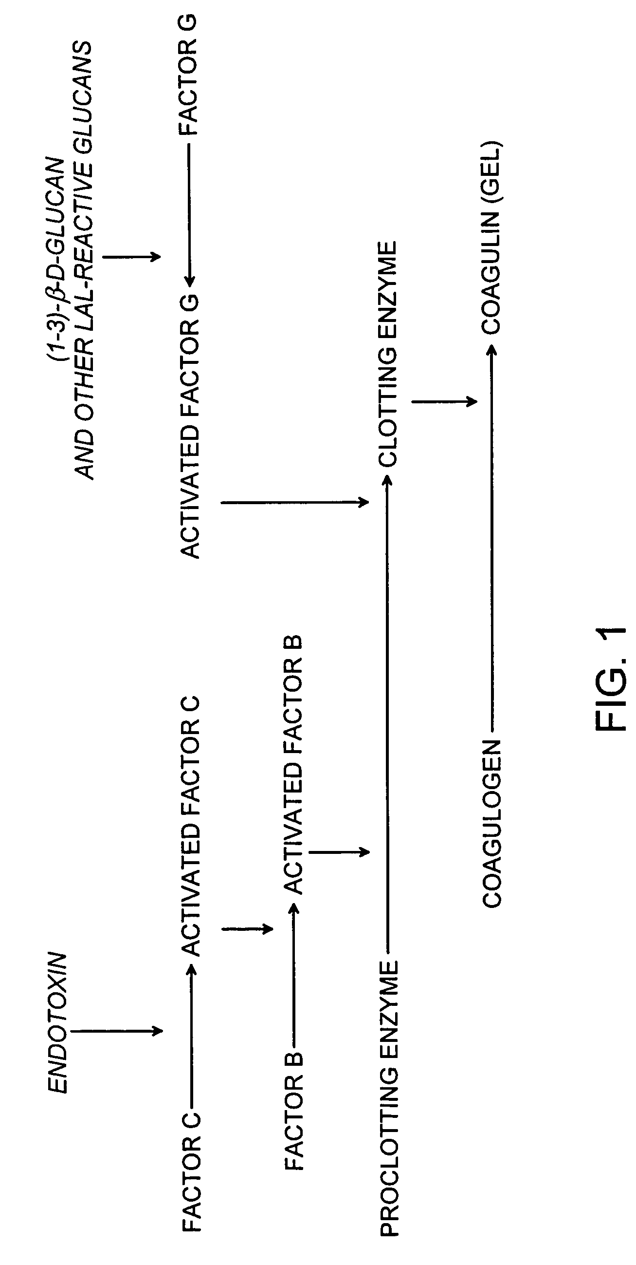Methods and compositions for the detection of microbial contaminants