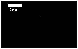 Method for guiding exogenous substances into chick embryos