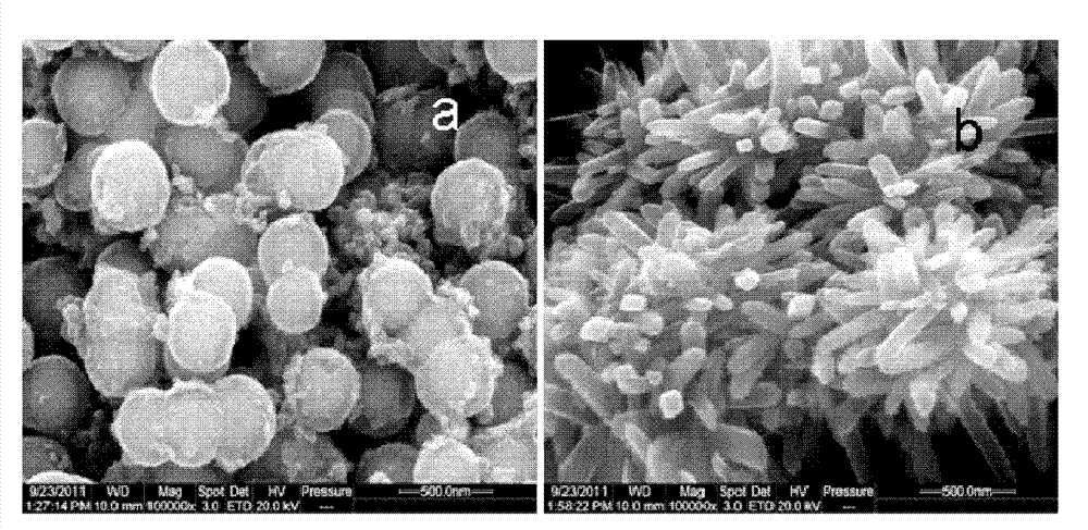 Sea-urchin-shaped core-shell type Fe3O4@TiO2 magnetic microspheres, and preparation and application thereof