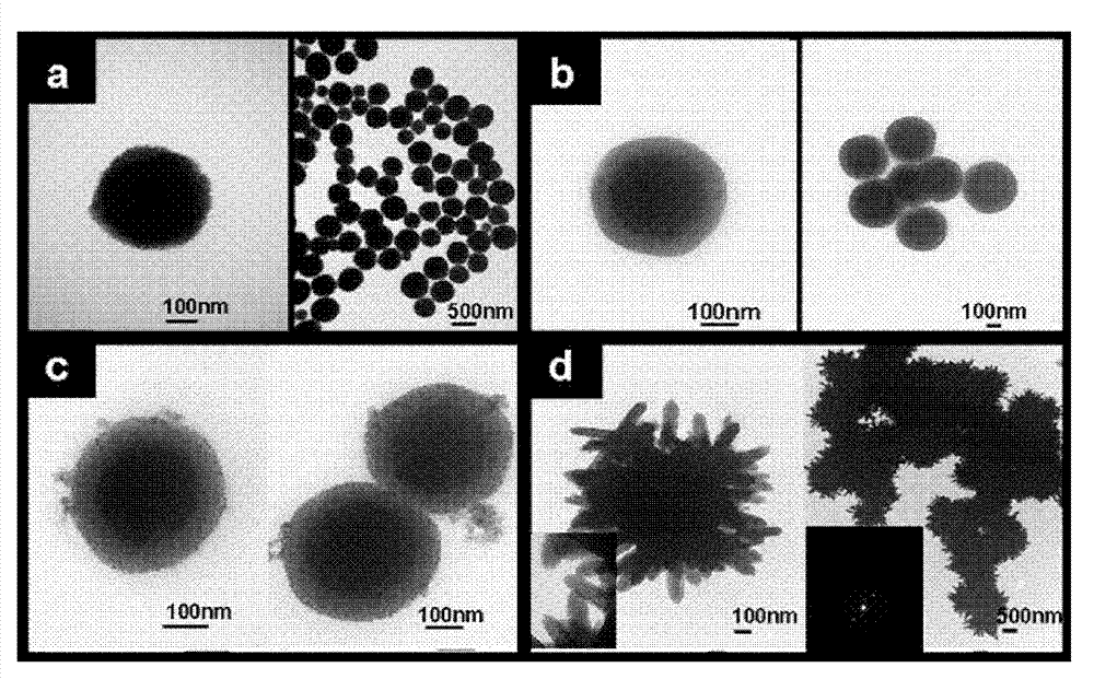 Sea-urchin-shaped core-shell type Fe3O4@TiO2 magnetic microspheres, and preparation and application thereof