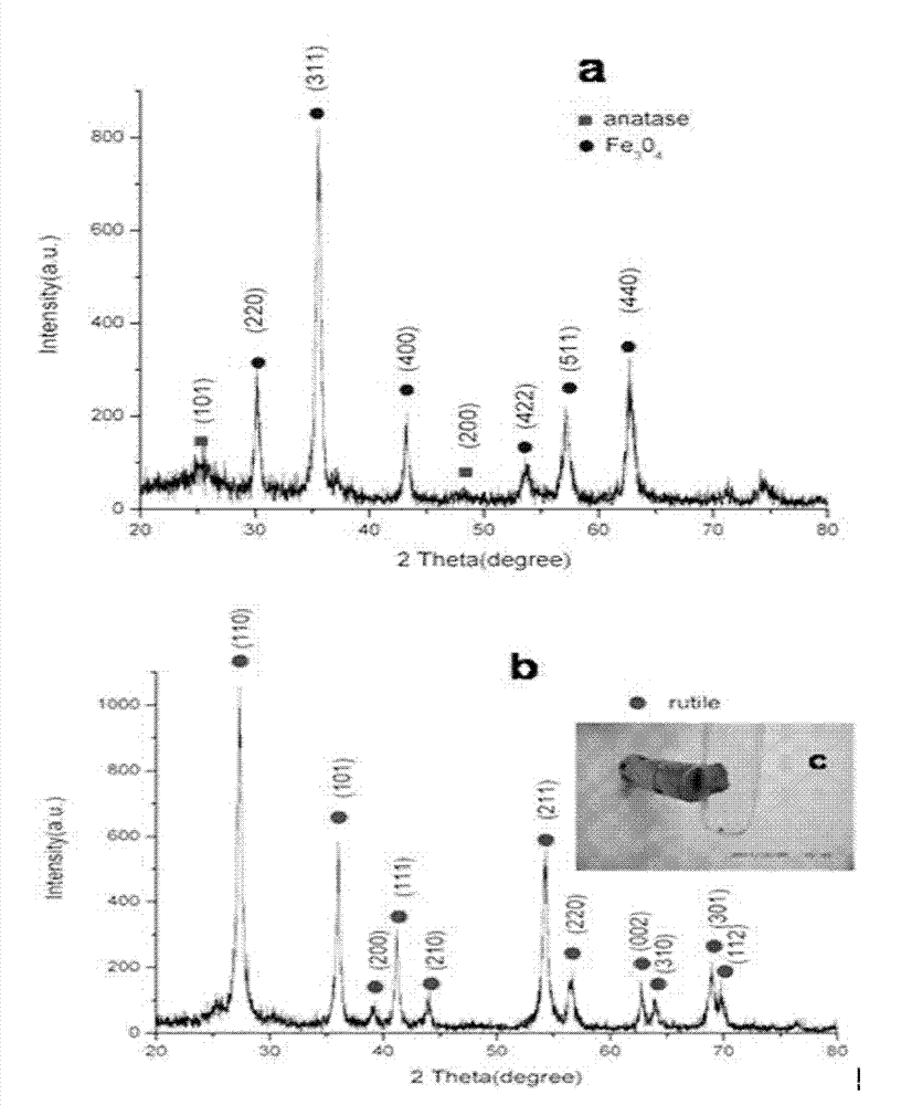 Sea-urchin-shaped core-shell type Fe3O4@TiO2 magnetic microspheres, and preparation and application thereof