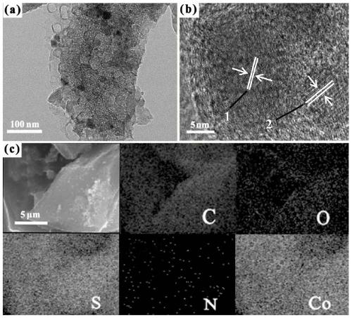 Nano-cobalt/cobalt sulfide loaded heteroatom doped porous carbon composite catalyst and preparation method and application thereof