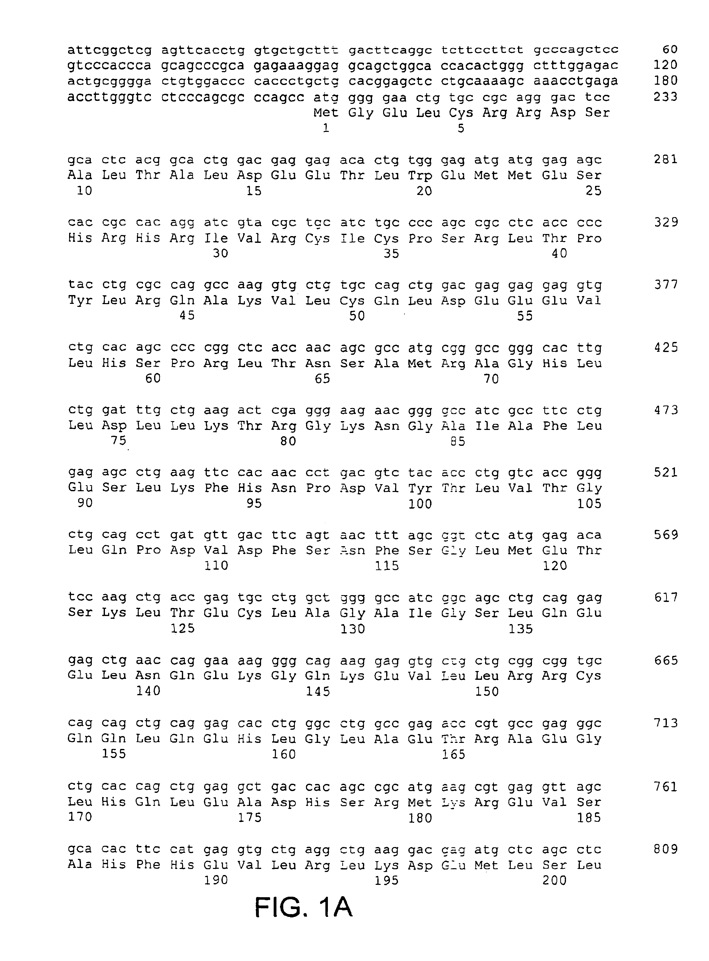 Molecules of the card-related protein family and uses thereof