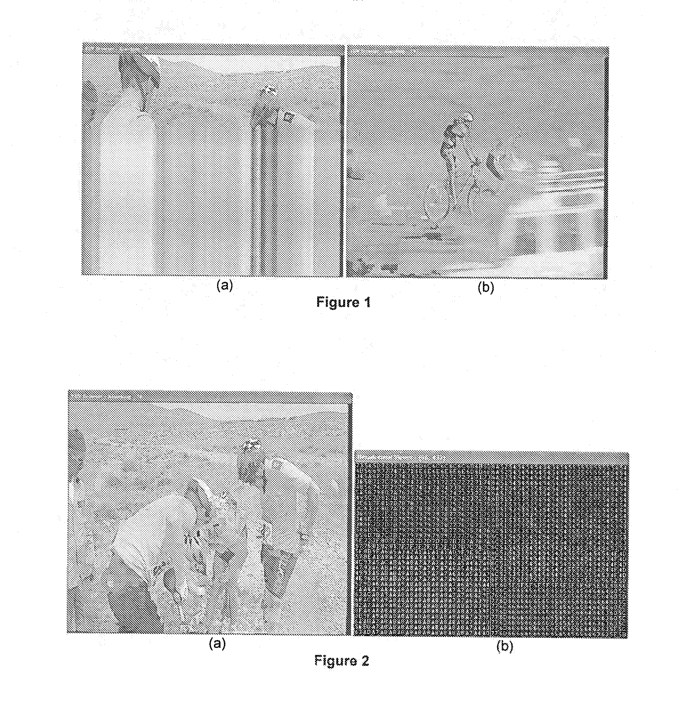 Methods and apparatus for an artifact detection scheme based on image content