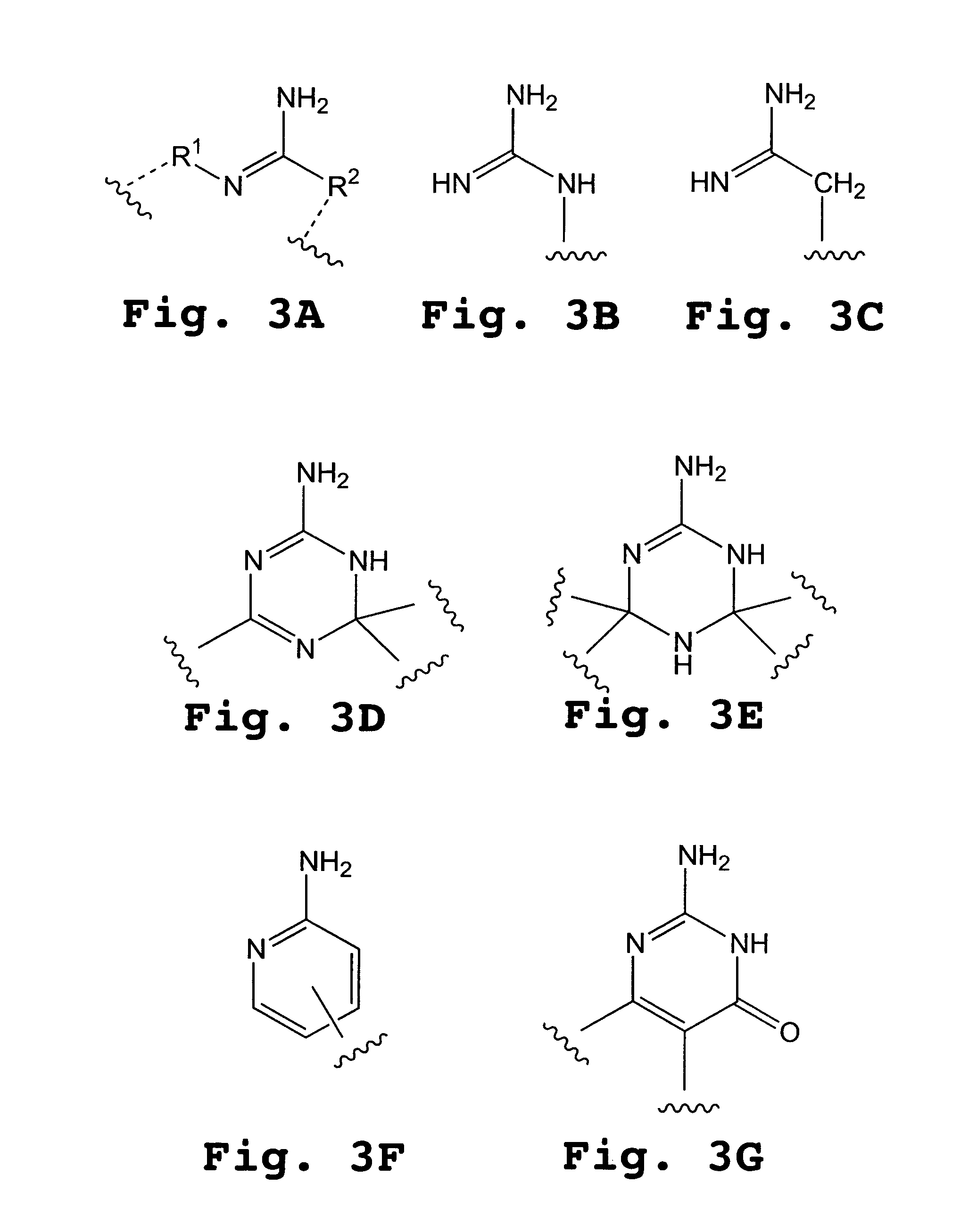 Compositions for enhancing transport of molecules into cells