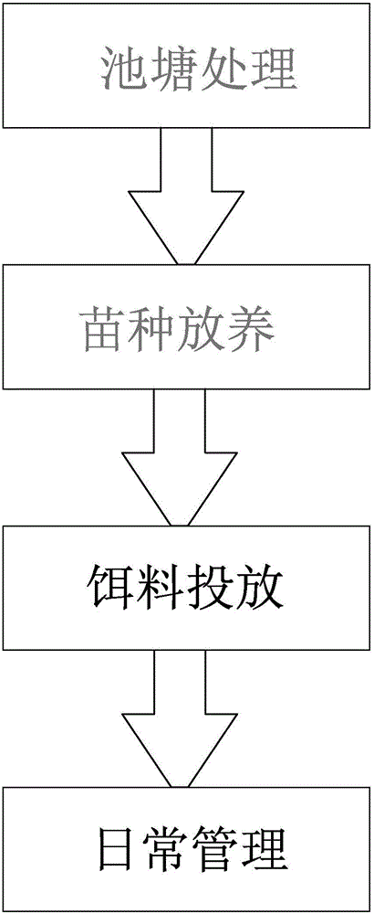 Cultivation method for weever