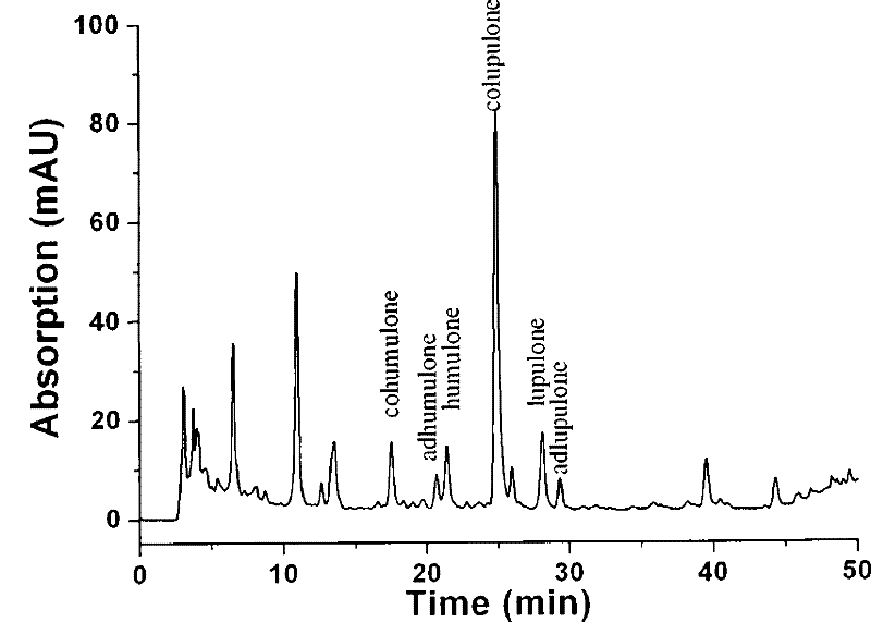 Method for measuring alpha acid and beta acid in hop by ion pair chromatography