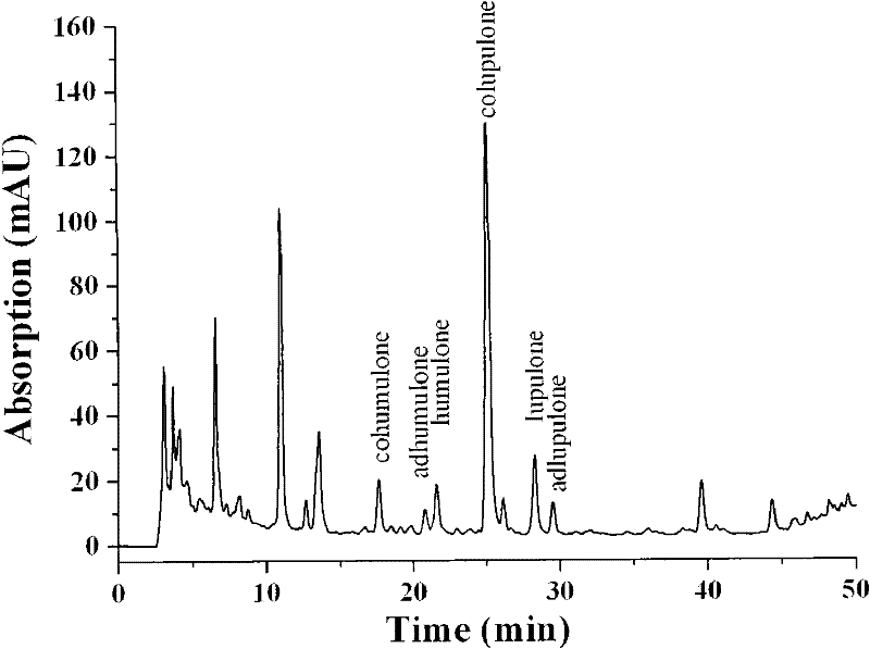 Method for measuring alpha acid and beta acid in hop by ion pair chromatography
