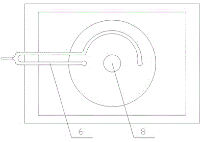 Inverted laser scanning confocal microscope animal and plant living body observation device and method