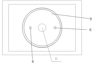 Inverted laser scanning confocal microscope animal and plant living body observation device and method