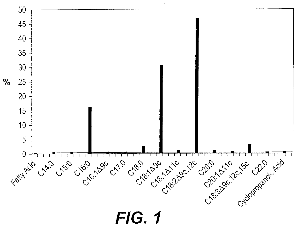 Extract of vicia faba beans