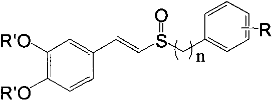 Preparation method of E-3,4-dihydroxyphenylvinyl sulfoxide and application of E-3,4-dihydroxyphenylvinyl sulfoxide as nerve protection drug