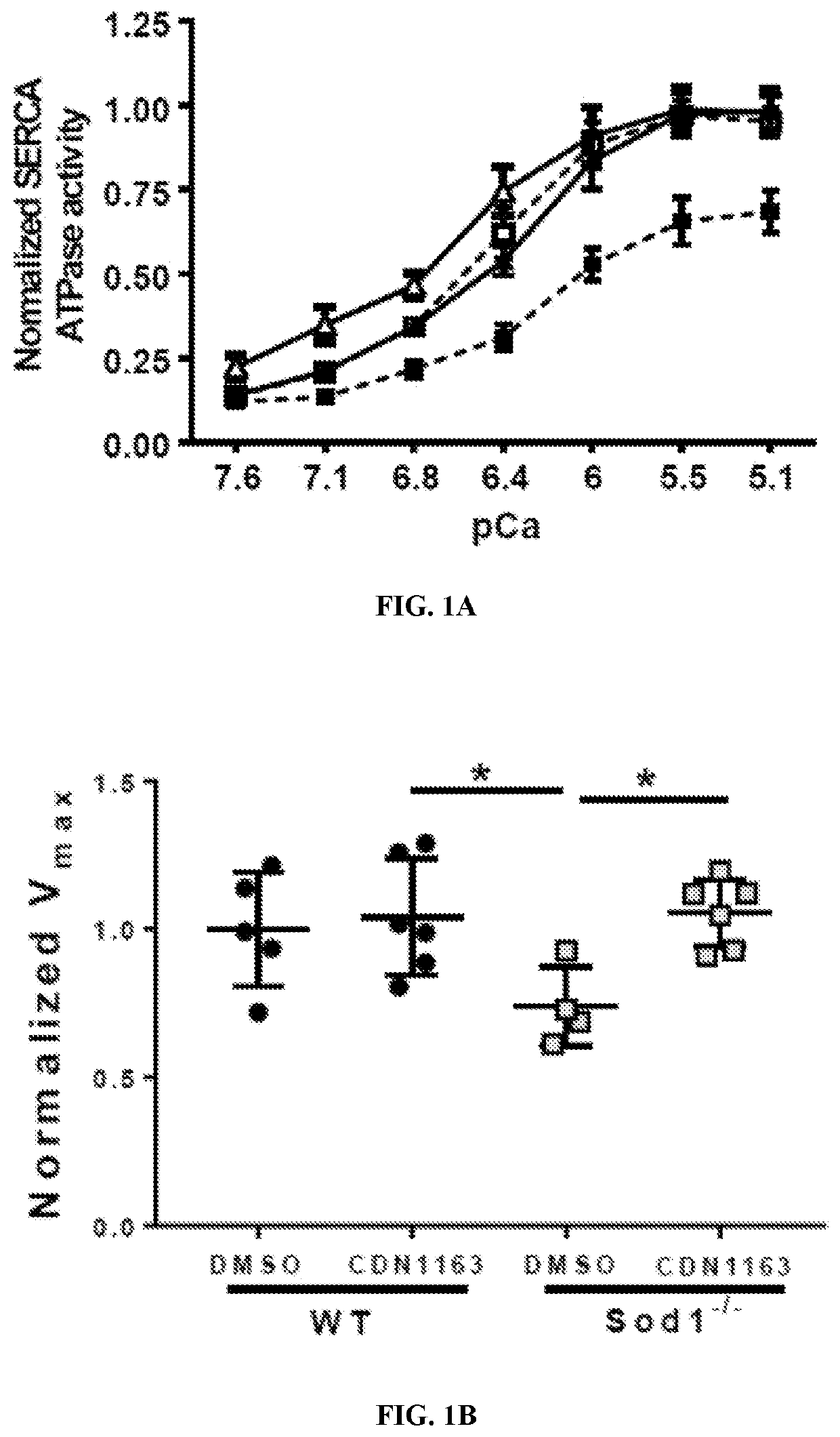Treatment for age- and oxidative stress-associated muscle atrophy and weakness