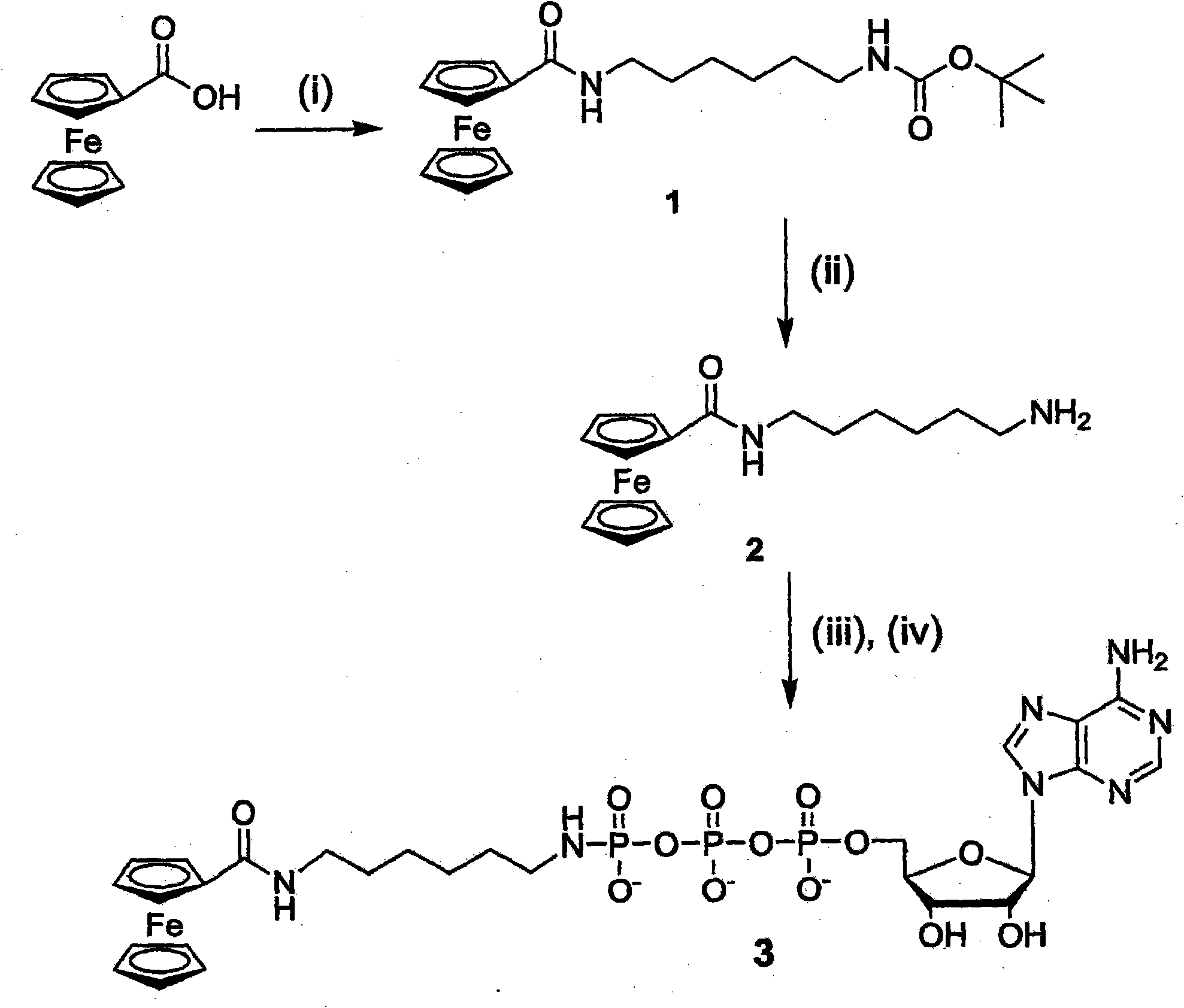 Nucleotide triphosphate with an electroactive label conjugated to the gamma phosphate