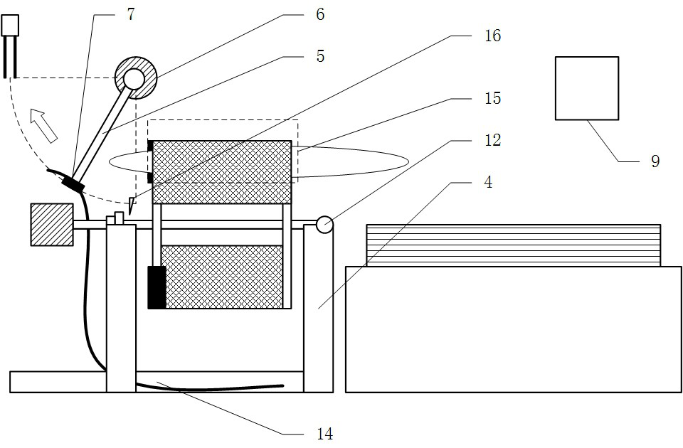 Automatic feeding system for whole kelp processing assembly line