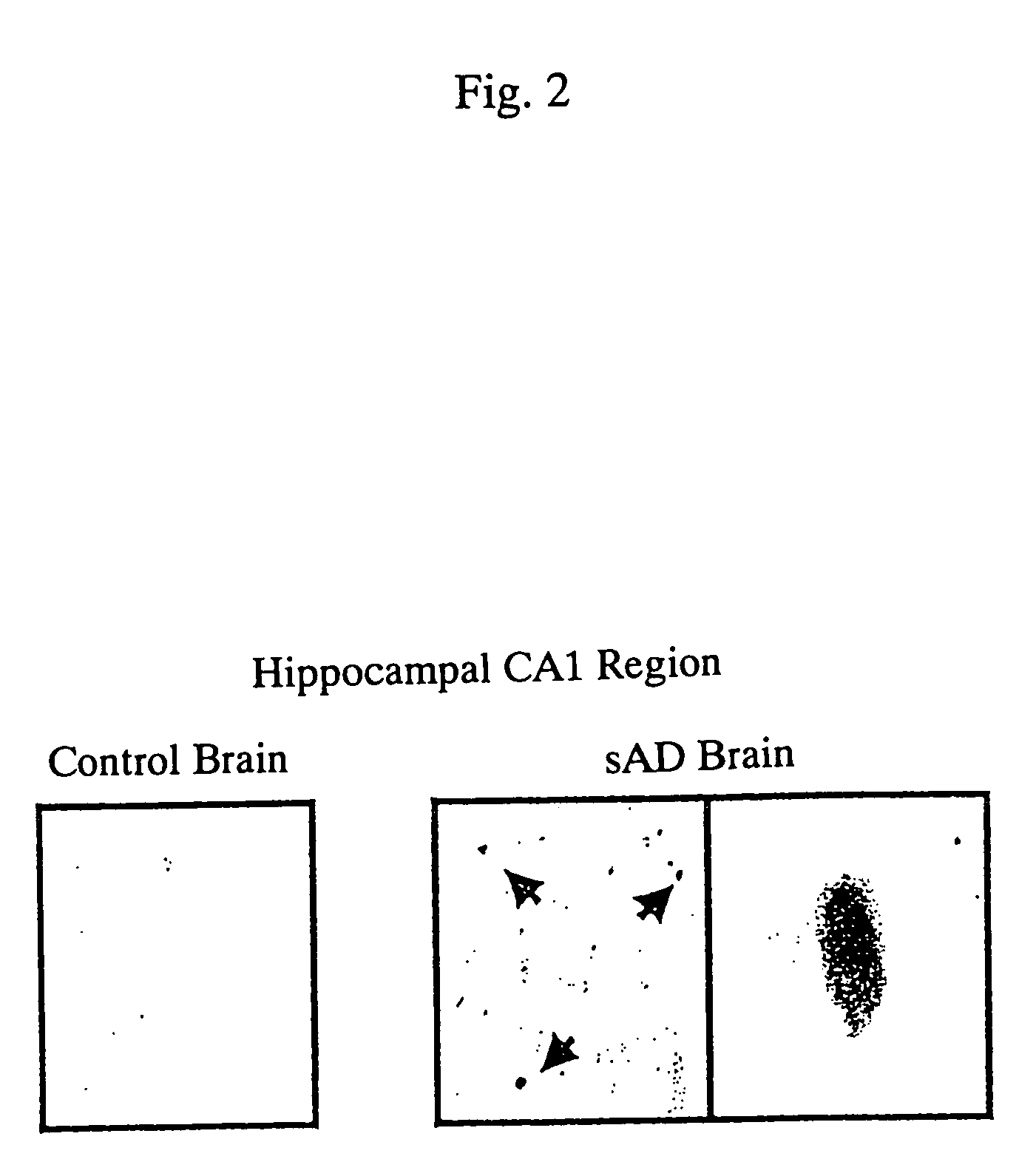 Medicinal compositions