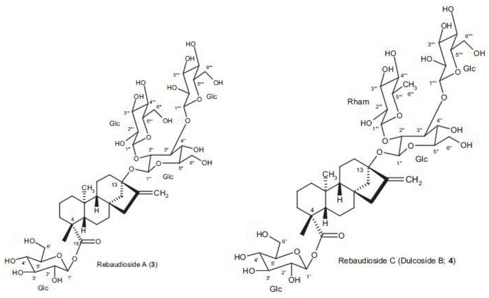 Method for increasing yield of cellulose by adding stevia rebaudiana sugar glucoside