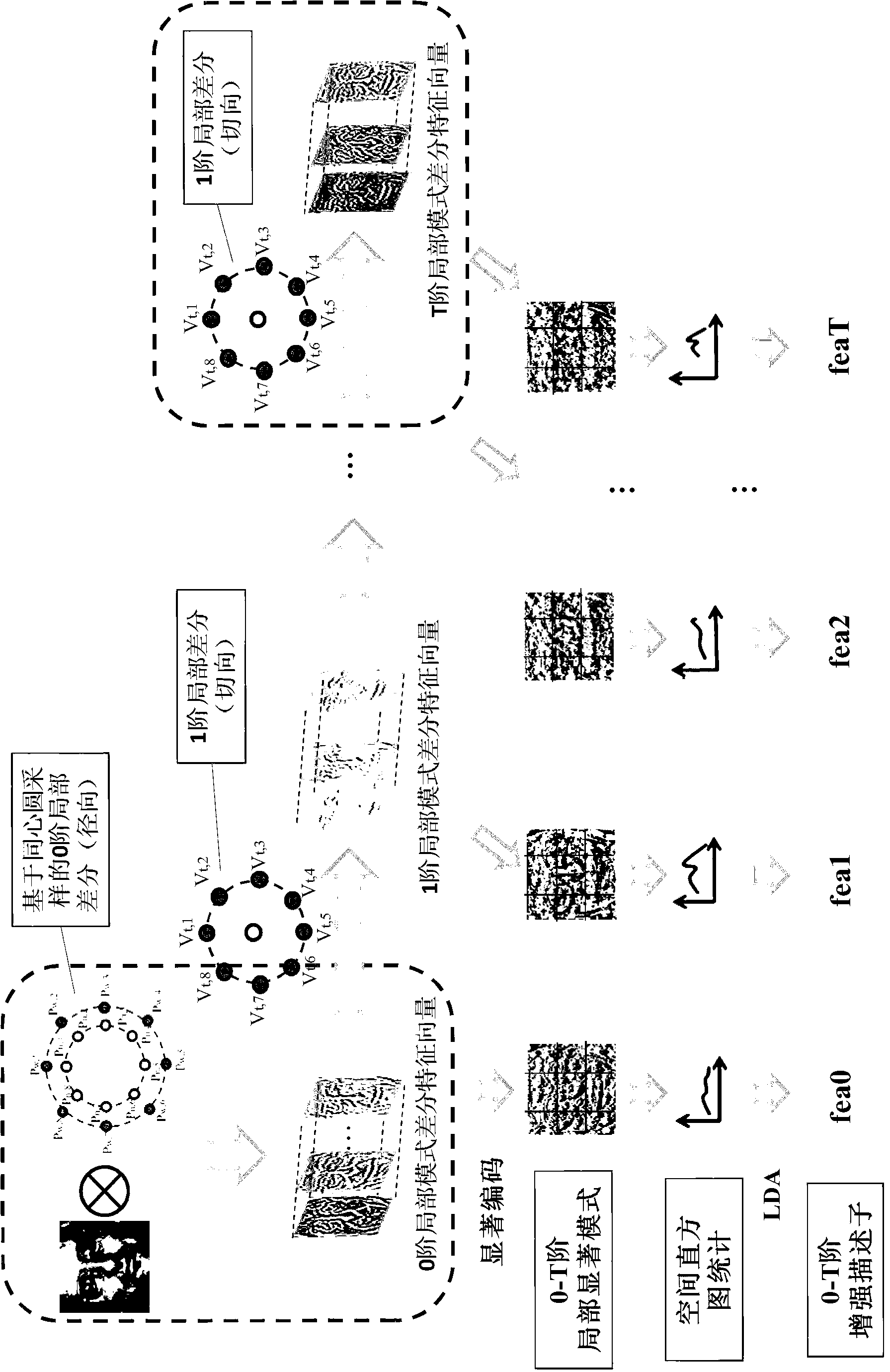 Human face recognizing method based on multi-level local obvious mode characteristic counting