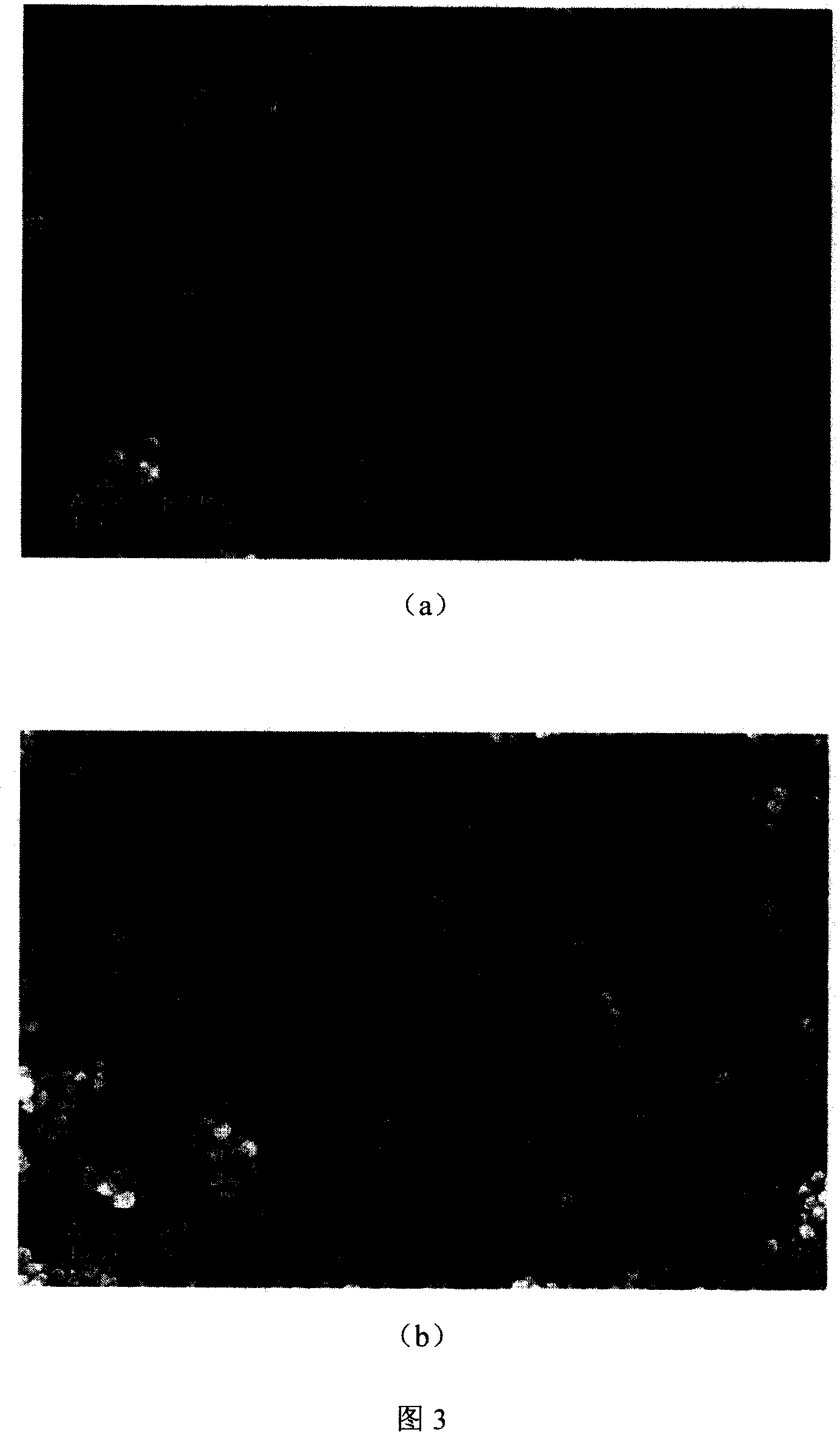 Method for producing nano zinc peroxide and zinc oxide by using solar