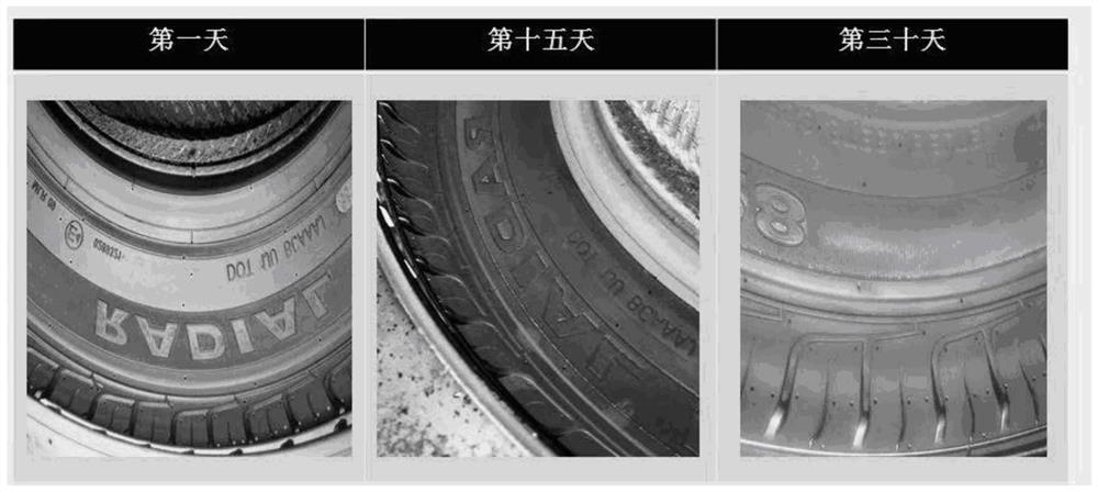 A kind of material for vulcanization mold surface treatment and its preparation method and application