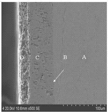 Electrolytic plating assisting method for hot dip galvanizing of steel wire and electrolytic plating assistant