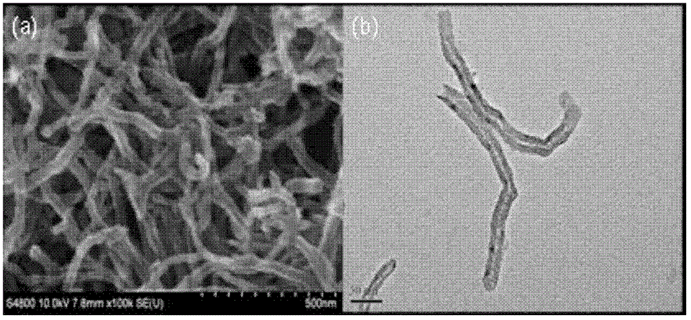 Prostatic cancer targeted multifunctional carbon nanotube / polyethylenimine drug delivery carrier, and preparation method and application thereof