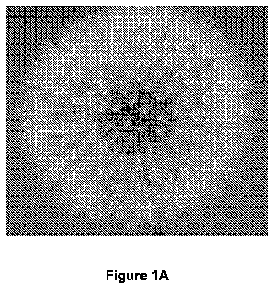 Diplospory gene