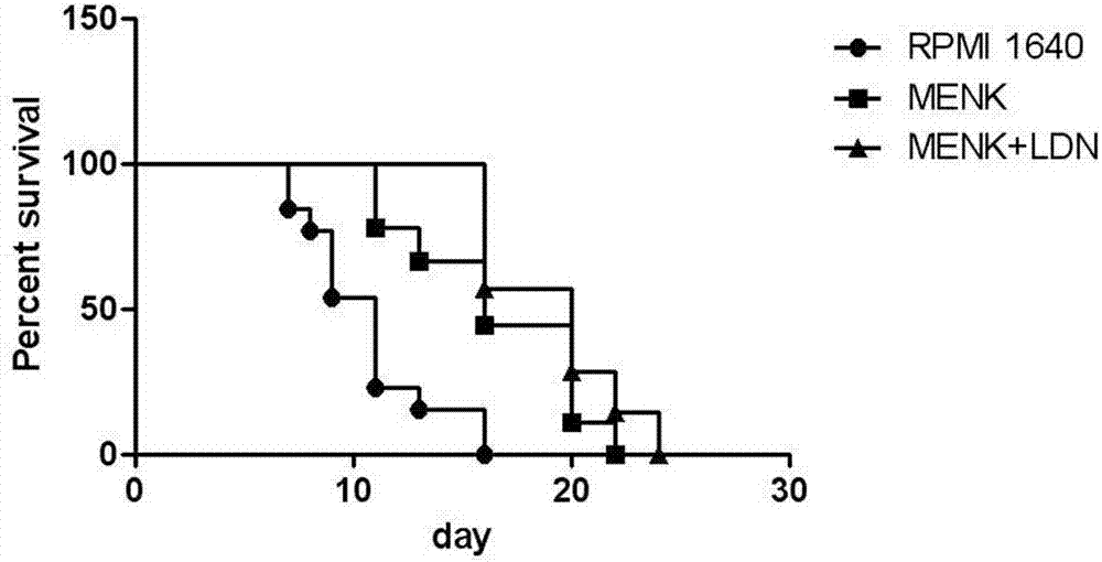 Application of combination of low-dose naltrexone and methionine-enkephalin to preparation of anti-cancer drug