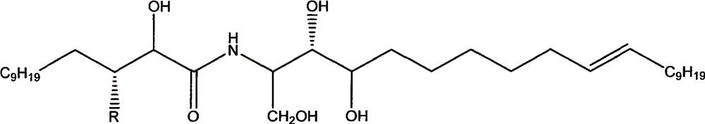 Ceramide compound derived from sunflower straw and preparation method thereof