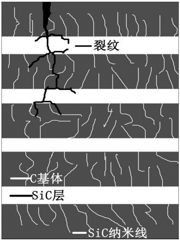 Method for synthesizing SiC nanowire toughened multilayer structure SiC-C/C composite material