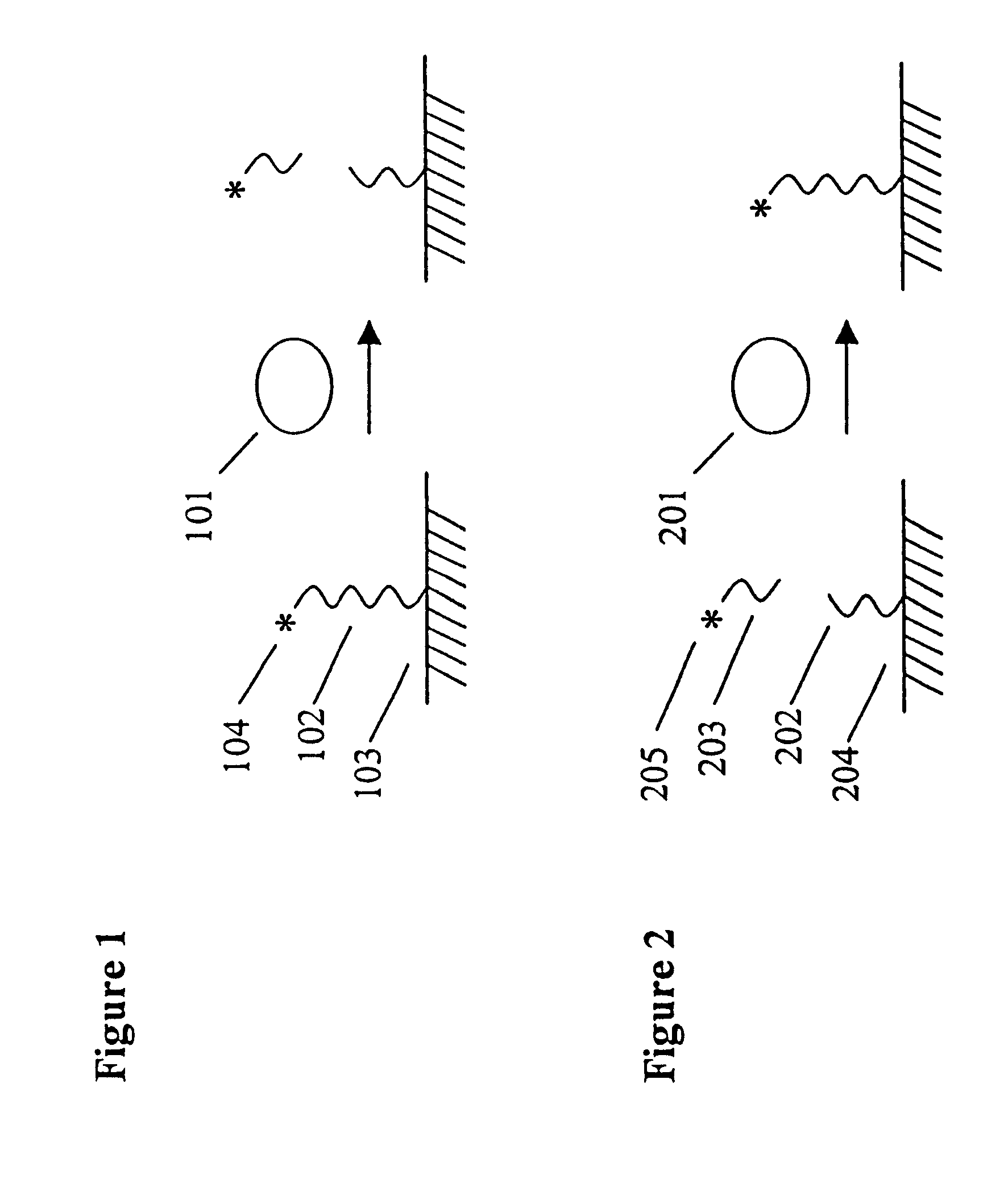 Assays for measuring nucleic acid binding proteins and enzyme activities