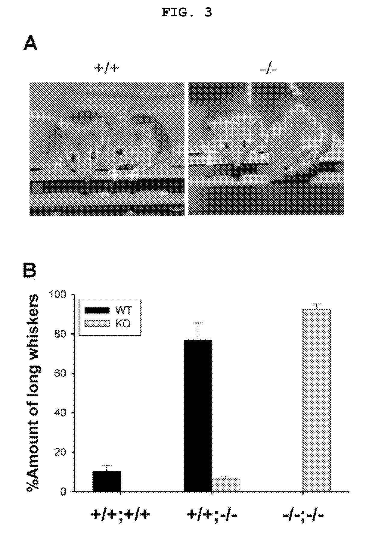 Phospholipase c beta1 (plcbeta1) knockout mice as a model system for testing schizophrenia drugs