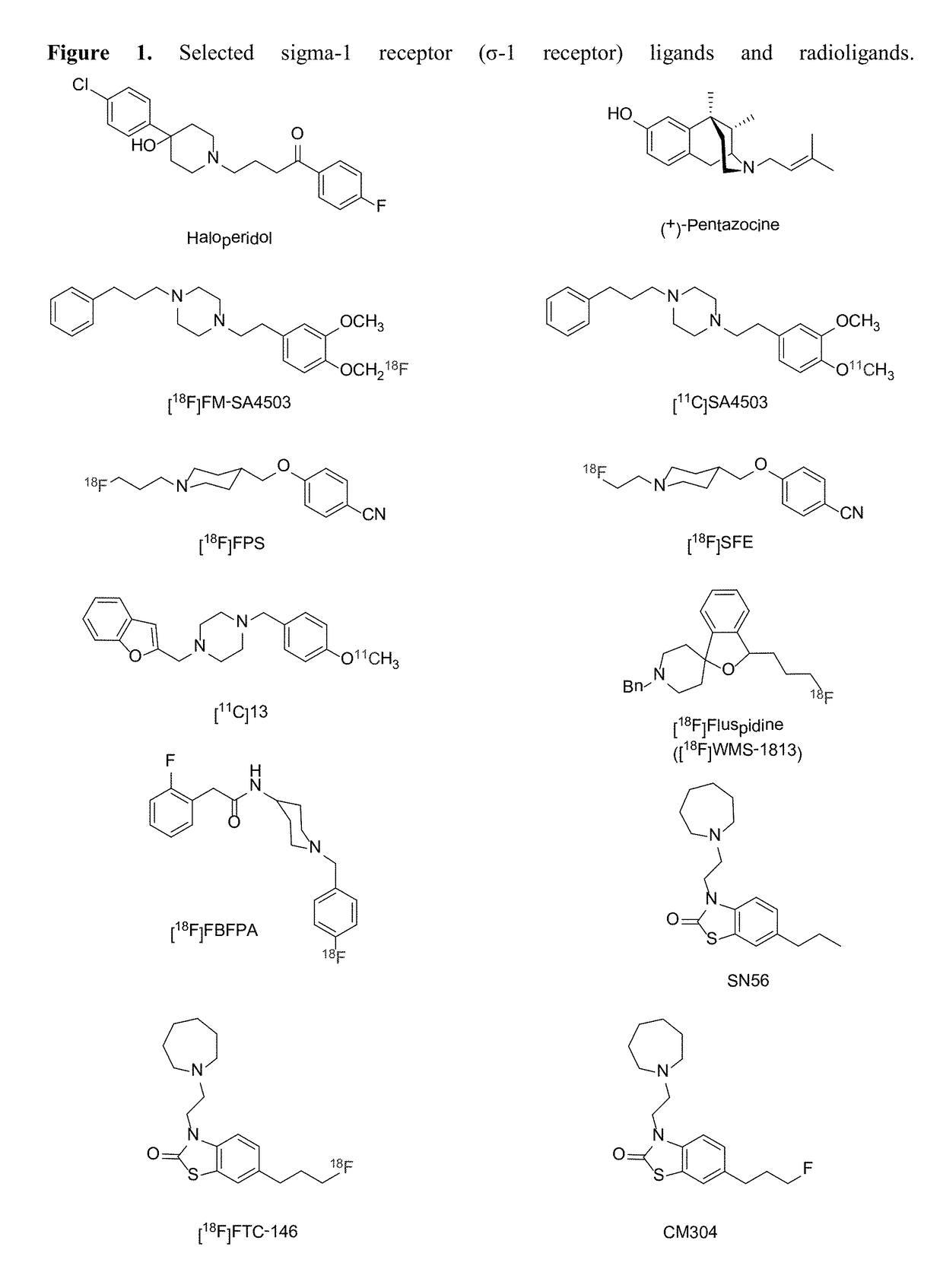 Highly selective sigma receptor ligands and radioligands as probes in nociceptive processing and the pathphysiological study of memory deficits and cognitive disorders