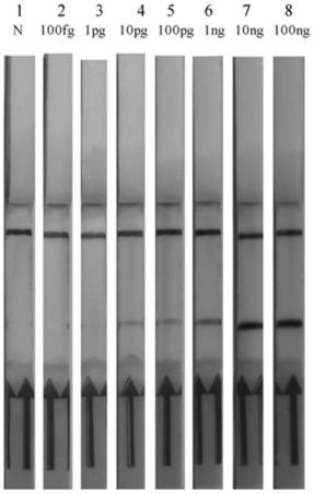 A detection method for food-borne pathogen Listeria monocytogenes