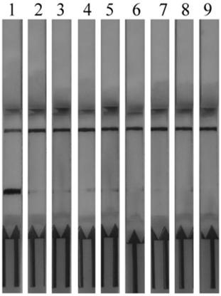 A detection method for food-borne pathogen Listeria monocytogenes