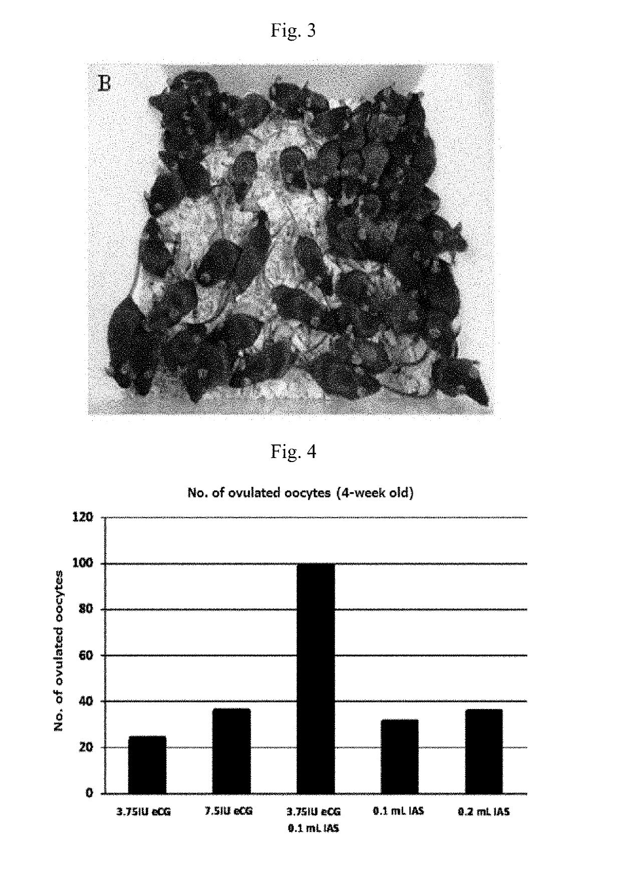 Superovulation in mice comprising administration of anti-inhibin serum and equine chorionic gonadotropin