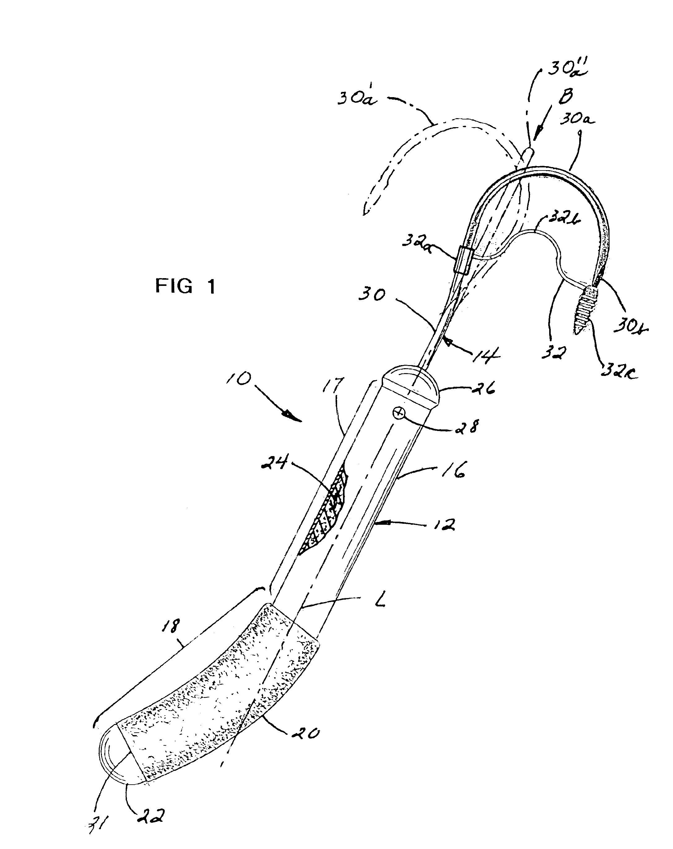 Fishing gaff with multi-position fish hook